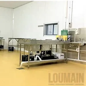 Loumain Lab Design And Construction